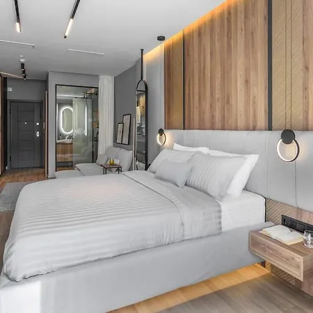 Aristotelian Virtues - Sophia Apartment *